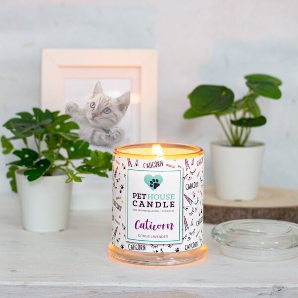 PetHouse Candle sojowa świeca zapachowa neutralizująca zapach - Caticorn Citrus & Lavender