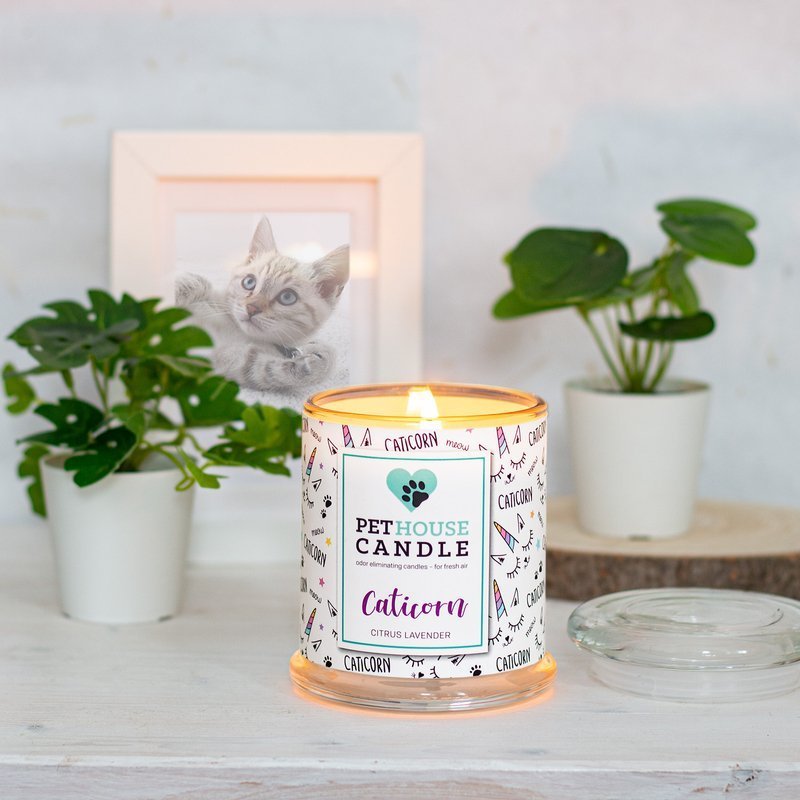 PetHouse Candle sojowa świeca zapachowa neutralizująca zapach - Caticorn Citrus & Lavender