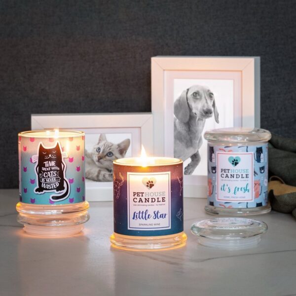 PetHouse Candle sojowa świeca zapachowa neutralizująca zapach - Little Star Sparkling Wine