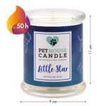PetHouse Candle sojowa świeca zapachowa neutralizująca zapach - Little Star Sparkling Wine
