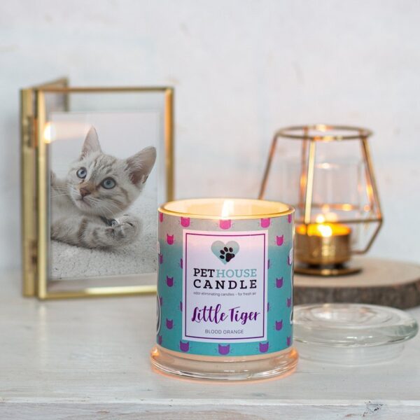 PetHouse Candle sojowa świeca zapachowa neutralizująca zapach - Little Tiger Blood Orange