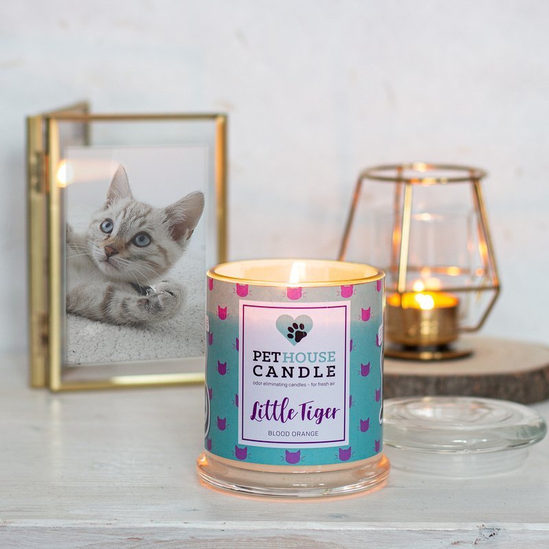 PetHouse Candle sojowa świeca zapachowa neutralizująca zapach - Little Tiger Blood Orange