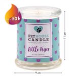 PetHouse Candle sojowa świeca zapachowa neutralizująca zapach - Little Tiger Blood Orange