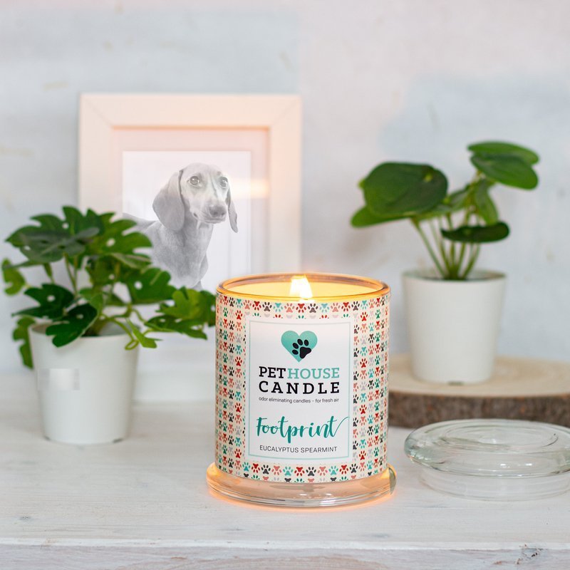 PetHouse Candle sojowa świeca zapachowa neutralizująca zapach - Footprint Eucalyptus Spearmint